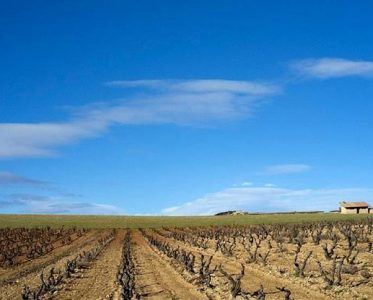 Bodega La Luz del Duero