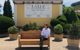 Bodega La Luz del Duero
