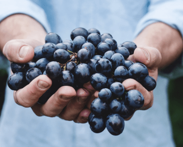 Wines of Romania introduces the world to Romanian wine