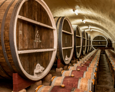 An ambitious wine tourism project