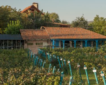 Sharing and Celebrating Georgia's Rich Cultural Heritage, Vines, and Wine