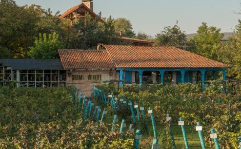 SHUMI WINERY BECOMES PART OF A NEW EUROPEAN PROJECT