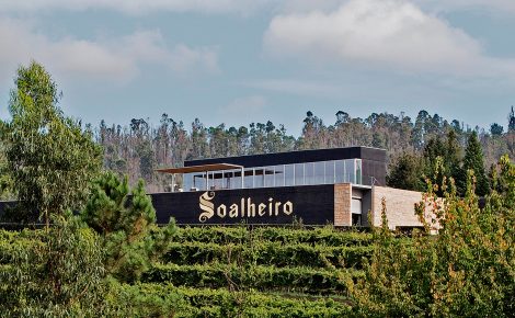 Soalheiro: wines from the center of the Alvarinho valley