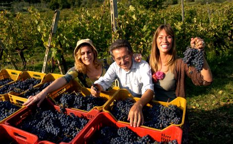 The DiVine Wine&Gourmet Tours with Antonio Sferlazzo