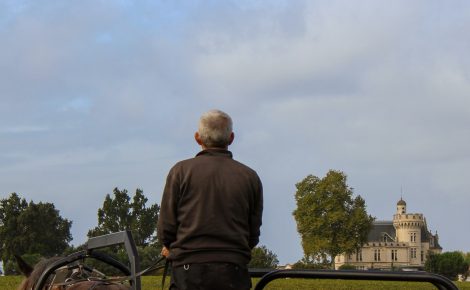 Château Pape Clément: more than 750 years of trials for sake of fine wine