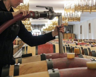 Extraordinary Garden