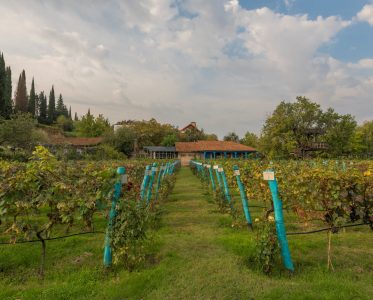 The impressive scale of Georgian culture and wine