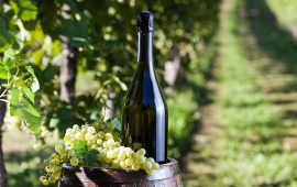 MOOC “Story of a Wine: The Importance of Being Prosecco”