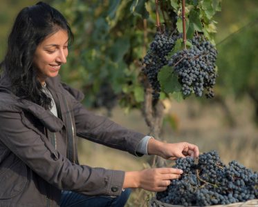 Combining Centuries of Georgian Viticultural Traditions with Modern Biodynamic Methods