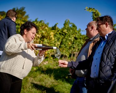 Tornai Winery: reviving traditions