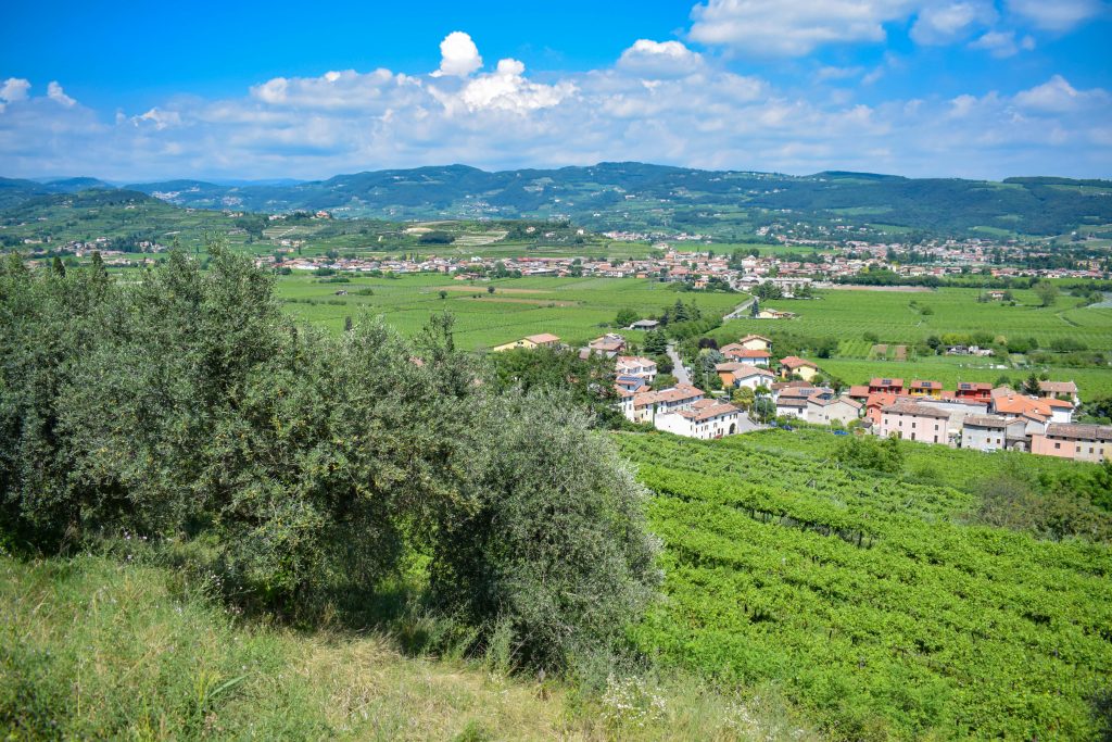 Valpolicella main