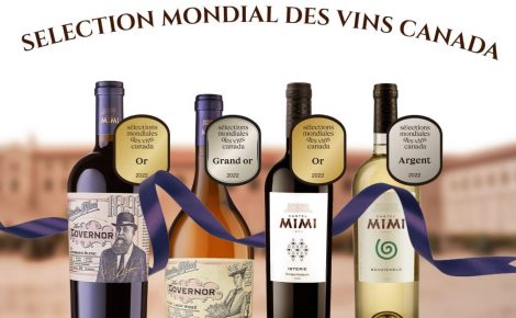 Moldovan wines rock at Mondial des Vins Canada: Castel Mimi and their medals.