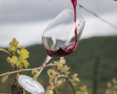 Combining Centuries of Georgian Viticultural Traditions with Modern Biodynamic Methods