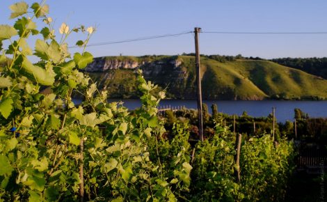 8 Craft Wineries featured in the WTA Guide. Ukraine