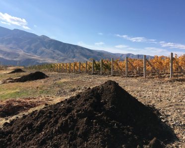 The mysterious world of the Trinity Canyon Vineyards wine crafting