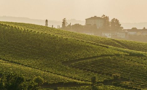 Sparkling Wine Culture of Piedmont