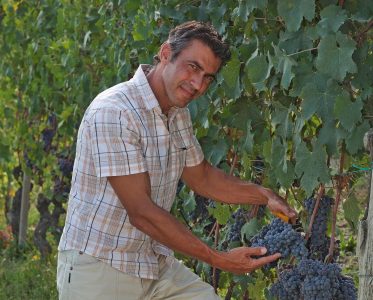 Daniele Eberle: Maestro of the Vine Symphony