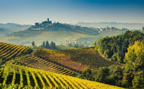 Consorzio Tutela dell’Asti & Wine Travel Awards united for the fruitful cooperation