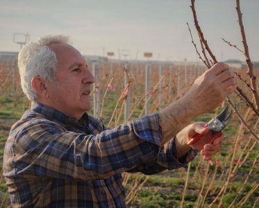 In the heart of the famous Ararat Valley