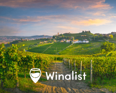 Experience unforgettable wine tourism experiences