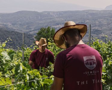 Semeli: state-of-the-art - wine-of-the-art