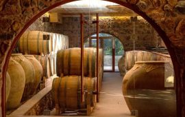Tushpa Wine Cellar