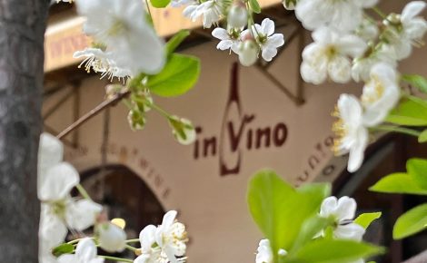 InVino is holding a tasting of MOONQ Wines