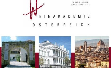 DipWSET from Austrian Wine Academy: unique opportunities for the students of 2024-2025