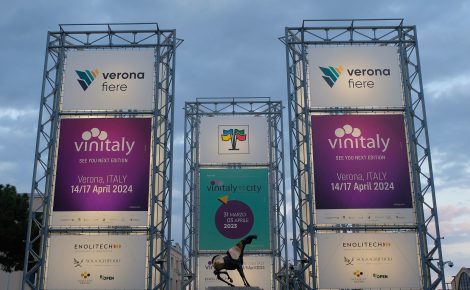 Cheers to Excellence: Unveiling the Finest Wines Showcased at VINITALY 2024