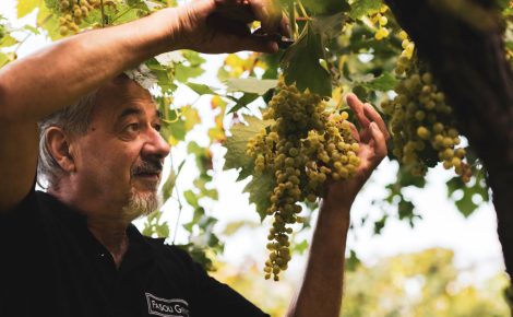 Fasoli Gino: A New Chapter of Innovation, Sustainability and Celebration in 2026