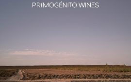 Primogénito Wines