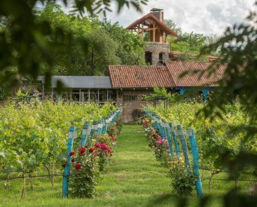 More than 25 Years of Exceptional Georgian Wines Rooted in Mythology