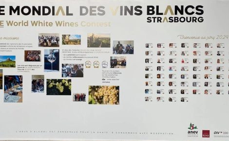 Mondial des Vins Blancs Strasbourg: A celebration of white wines
