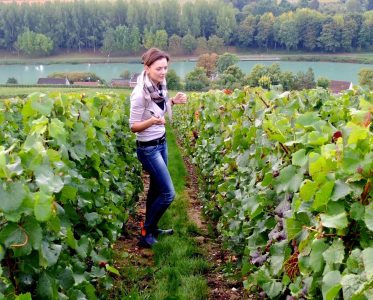 Navigating a Promising Future for Romanian Wines