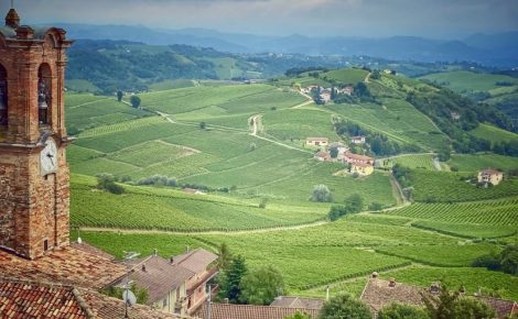 The Wine Roads of Piedmont