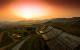 Monsoon Valley Vineyard