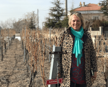 ANNE-WIES.NL -The Gastronomic Wine Experience