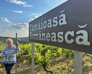 Transilvania: forget about Dracula! Romania makes ‘bloody’ good wines!