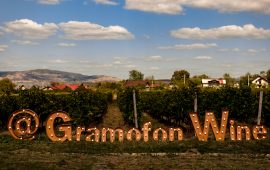 Gramofon Wine