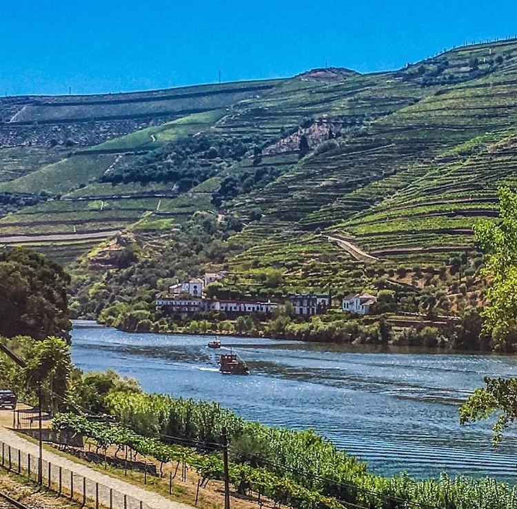 ML-Private Tours wine experiences