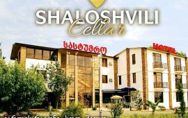 Shaloshvili Cellar&Hotel