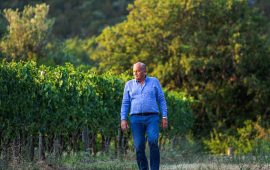 Azienda Agricola San Salvatore 1988