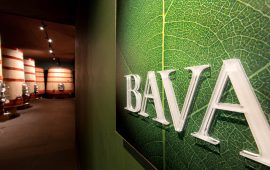 Azienda BAVA