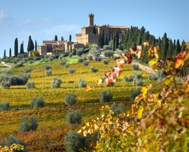 Banfi Piemonte's Founding and Heritage 