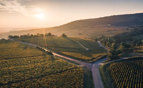 Discover the Elegance of Burgundy and Rhône with BKWine’s Award-Winning Tours