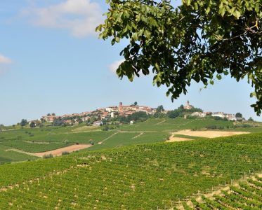 Alice Bel Colle: A Cooperative Winery Shaping the Future of Asti DOCG