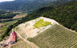 Azienda Agricola Cavallero