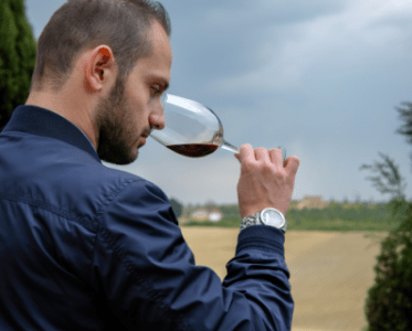 Simone Roveda: A Journey into the Art and Science of Wine