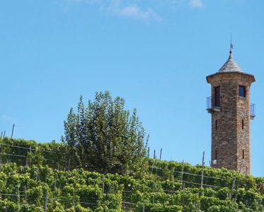 Contini Tower: Immersed among the Moscato Bianco vineyards