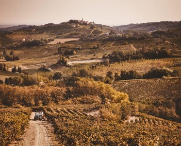 A Journey Through Generations of Winemaking Excellence